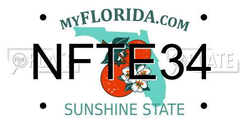 NFTE34 Florida License Plate