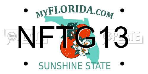 NFTG13 Florida License Plate