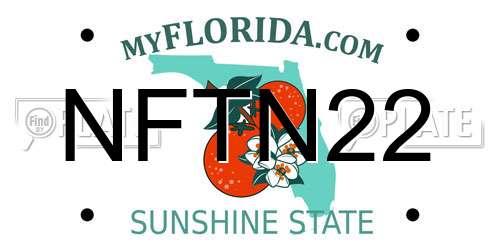 NFTN22 Florida License Plate