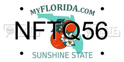 NFTQ56 Florida License Plate