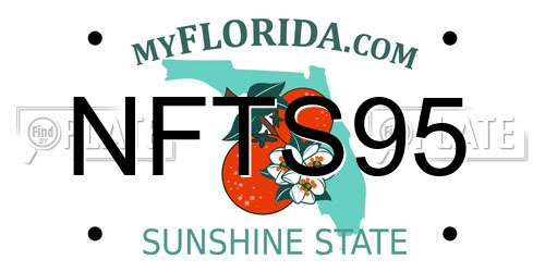 NFTS95 Florida License Plate