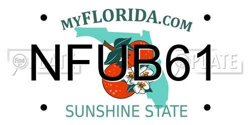 NFUB61 Florida License Plate