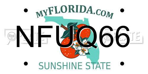 NFUQ66 Florida License Plate