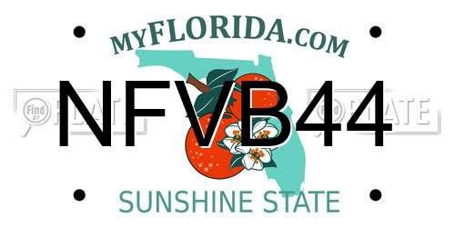 NFVB44 Florida License Plate