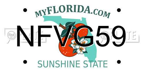 NFVG59 Florida License Plate