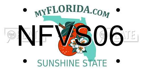 NFVS06 Florida License Plate