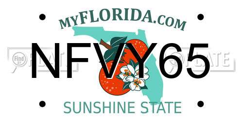 NFVY65 Florida License Plate