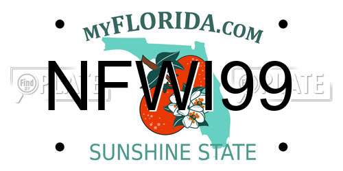 NFWI99 Florida License Plate