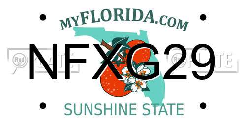 NFXG29 Florida License Plate