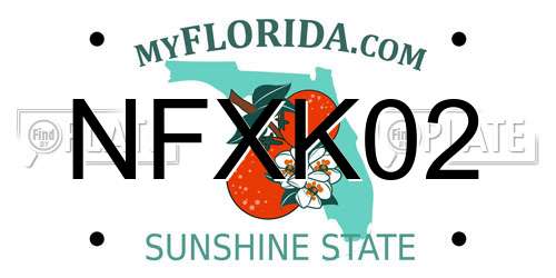 NFXK02 Florida License Plate