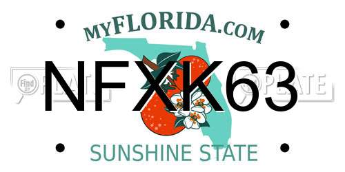NFXK63 Florida License Plate