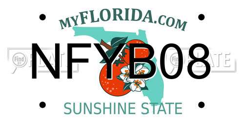 NFYB08 Florida License Plate