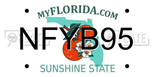 NFYB95 Florida License Plate