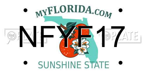 NFYF17 Florida License Plate