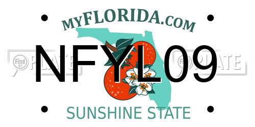 NFYL09 Florida License Plate