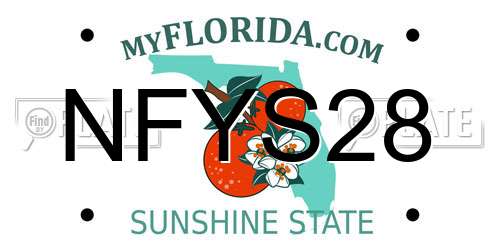 NFYS28 Florida License Plate