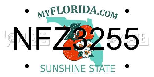 NFZ3255 Florida License Plate