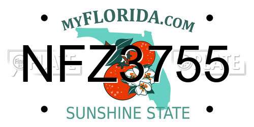 NFZ3755 Florida License Plate