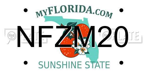 NFZM20 Florida License Plate