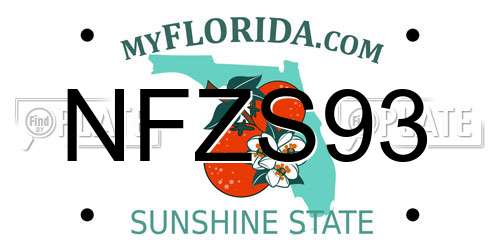 NFZS93 Florida License Plate
