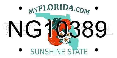 NG10389 Florida License Plate