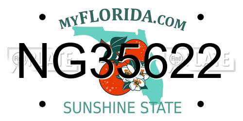 NG35622 Florida License Plate