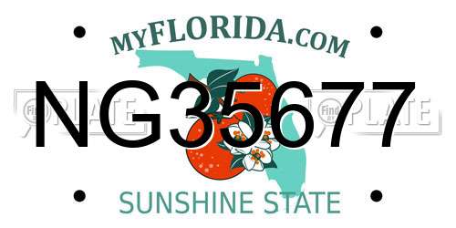 NG35677 Florida License Plate