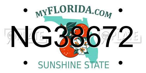 NG38672 Florida License Plate