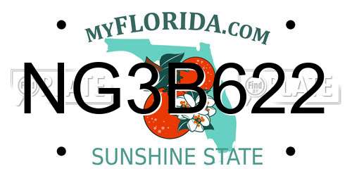 NG3B622 Florida License Plate