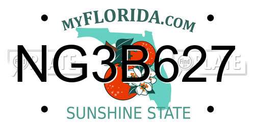 NG3B627 Florida License Plate