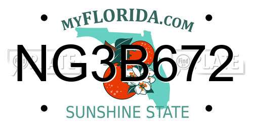 NG3B672 Florida License Plate
