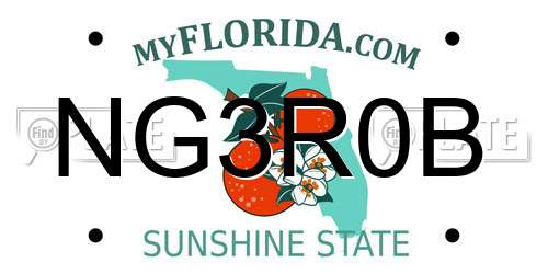 NG3R0B Florida License Plate