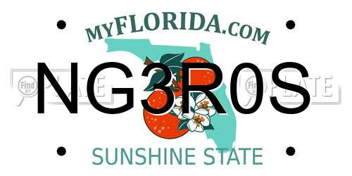 NG3R0S Florida License Plate