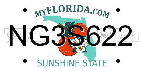 NG3S622 Florida License Plate