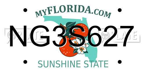 NG3S627 Florida License Plate