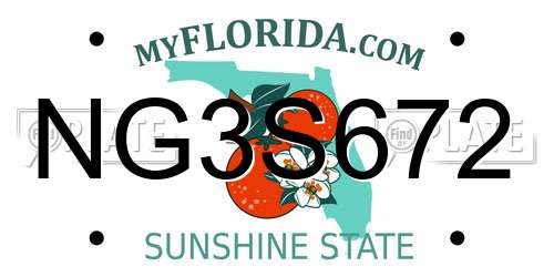 NG3S672 Florida License Plate