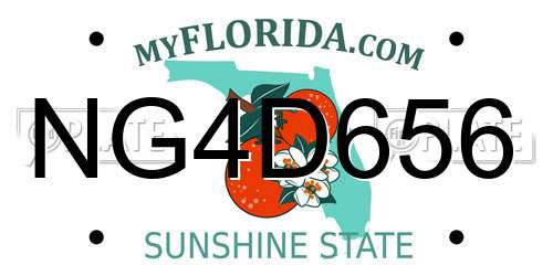 NG4D656 Florida License Plate