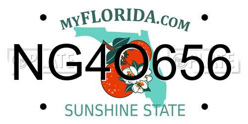 NG4O656 Florida License Plate