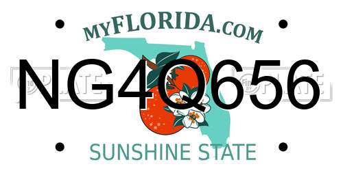 NG4Q656 Florida License Plate
