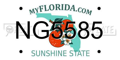 NG5585 Florida License Plate