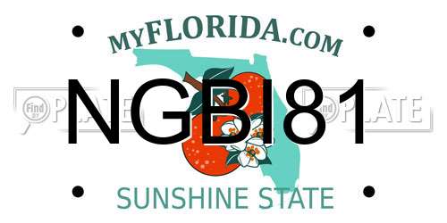 NGBI81 Florida License Plate