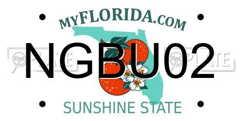 NGBU02 Florida License Plate