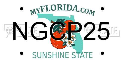NGCP25 Florida License Plate