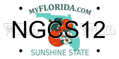 NGCS12 Florida License Plate