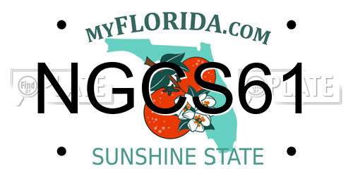 NGCS61 Florida License Plate