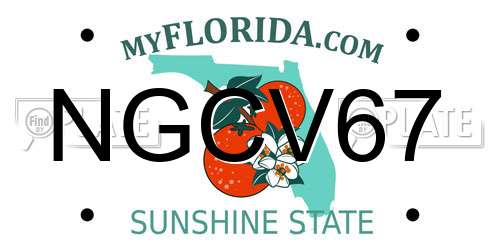 NGCV67 Florida License Plate