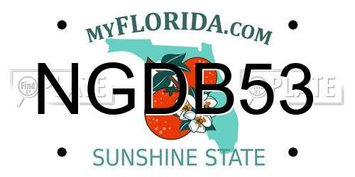 NGDB53 Florida License Plate