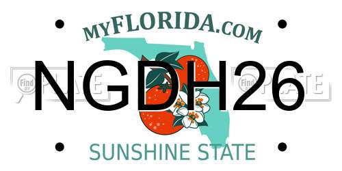 NGDH26 Florida License Plate