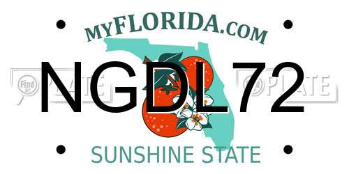 NGDL72 Florida License Plate