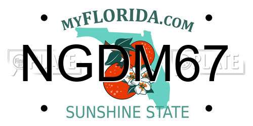 NGDM67 Florida License Plate